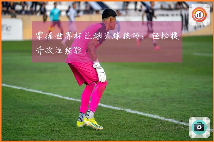 掌握世界杯让球买球技巧，轻松提升投注经验