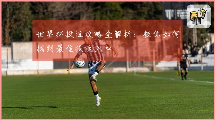 世界杯投注攻略全解析，教你如何找到最佳投注入口