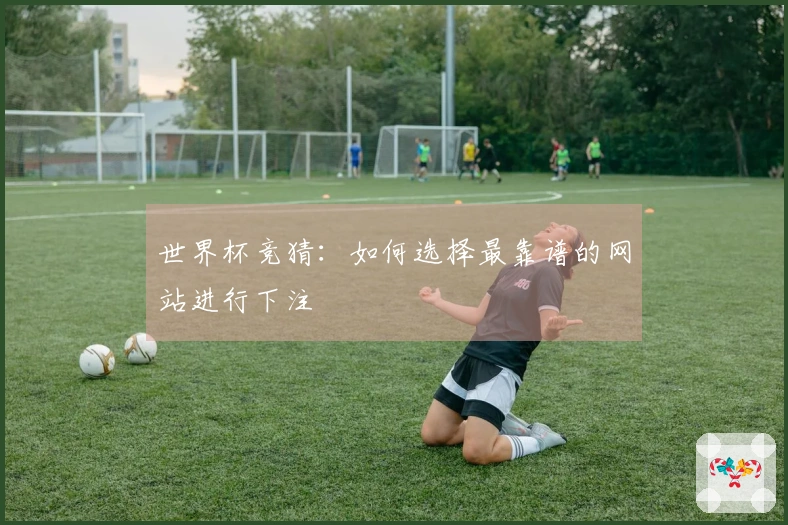 世界杯竞猜：如何选择最靠谱的网站进行下注