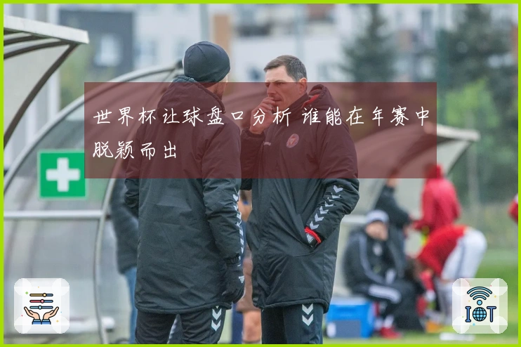 世界杯让球盘口分析 谁能在年赛中脱颖而出