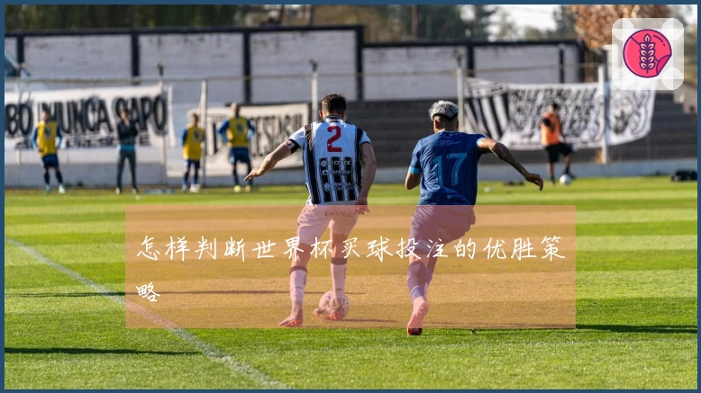 怎样判断世界杯买球投注的优胜策略