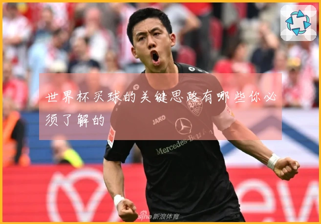 世界杯买球的关键思路有哪些你必须了解的