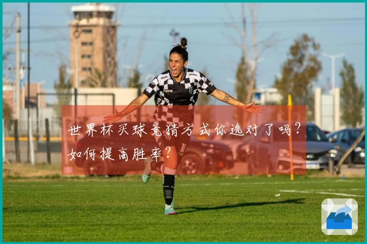 世界杯买球竞猜方式你选对了吗？如何提高胜率？