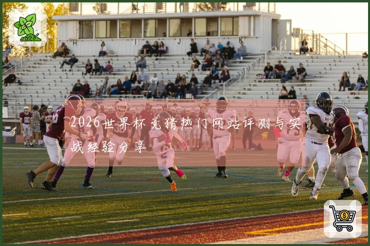 2026世界杯竞猜热门网站评测与实战经验分享