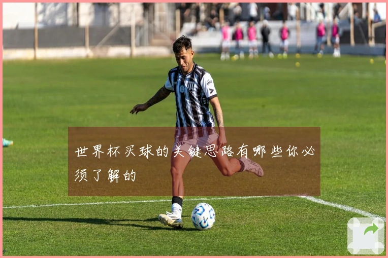 世界杯买球的关键思路有哪些你必须了解的