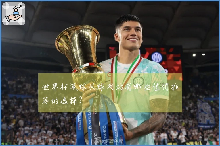 世界杯滚球买球网站有哪些值得推荐的选择？