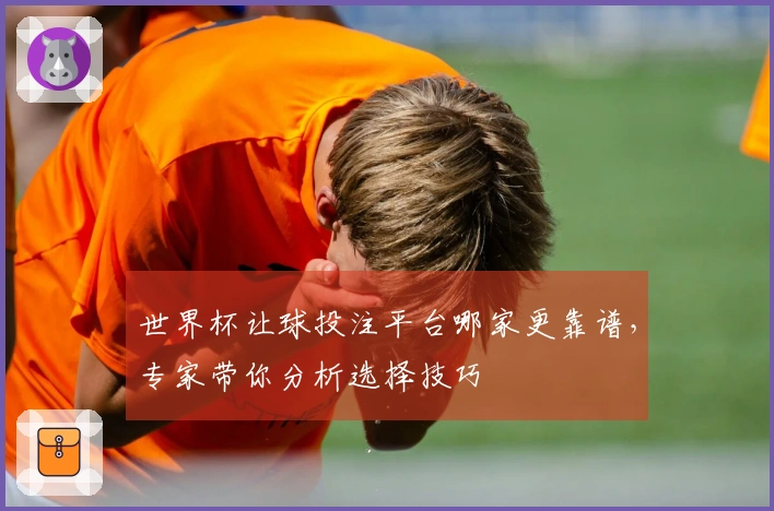 世界杯让球投注平台哪家更靠谱，专家带你分析选择技巧