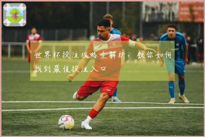 世界杯投注攻略全解析，教你如何找到最佳投注入口