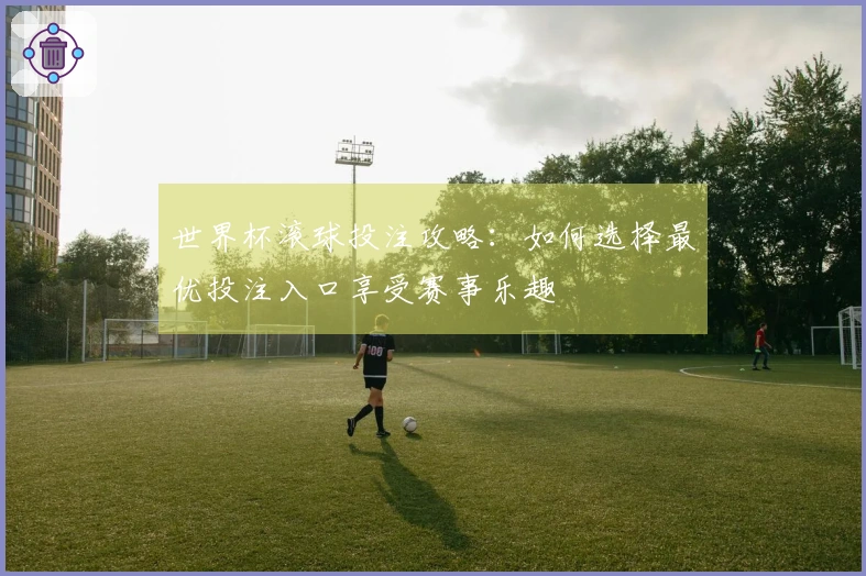 世界杯滚球投注攻略：如何选择最优投注入口享受赛事乐趣