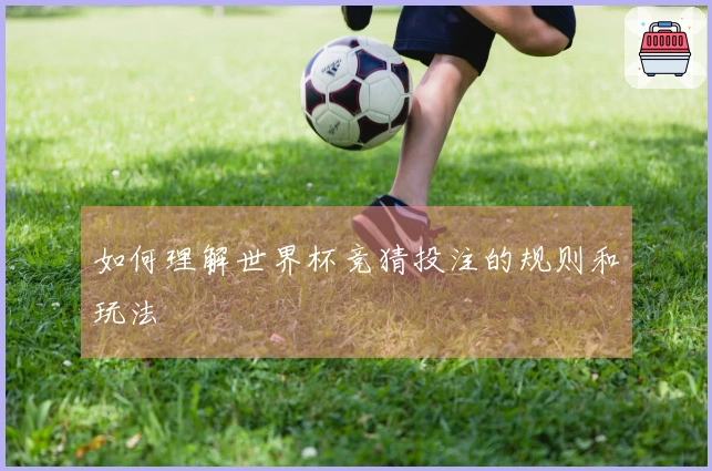 如何理解世界杯竞猜投注的规则和玩法