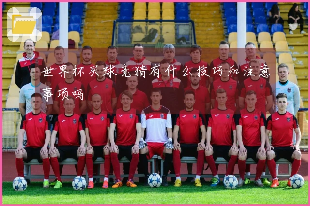 世界杯买球竞猜有什么技巧和注意事项吗