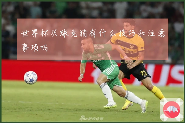 世界杯买球竞猜有什么技巧和注意事项吗