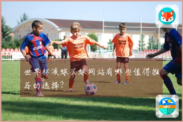 世界杯滚球买球网站有哪些值得推荐的选择？
