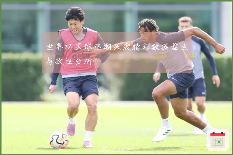 世界杯买球热潮来袭精彩数据盘点与投注分析